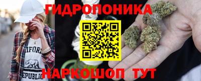 гидропоника Кингисепп