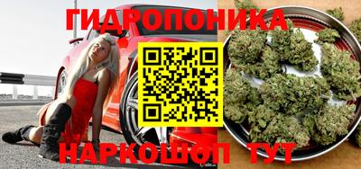 винт Кимры