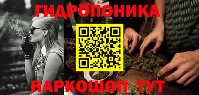 PSILOCYBIN Кинель