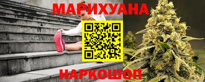гидропоника Кингисепп