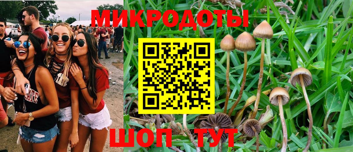 купить  цена  Вход с VPN  Елизово  Псилоцибиновые грибы Magic Shrooms 